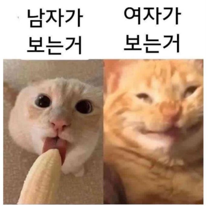 캡처.JPG