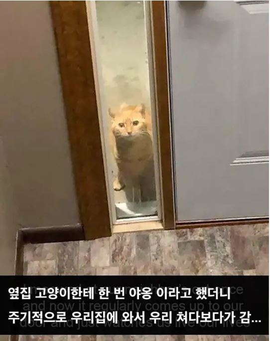 캡처.JPG