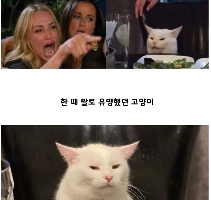 캡처.JPG